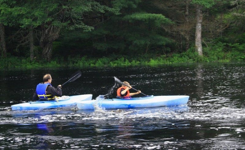 Trout Point Lodge Of Nova Scotia East Kemptville Exteriör bild