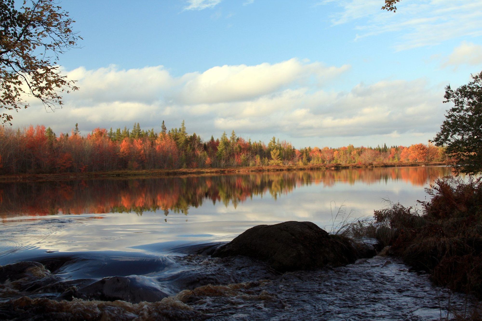 Trout Point Lodge Of Nova Scotia East Kemptville Bekvämligheter bild