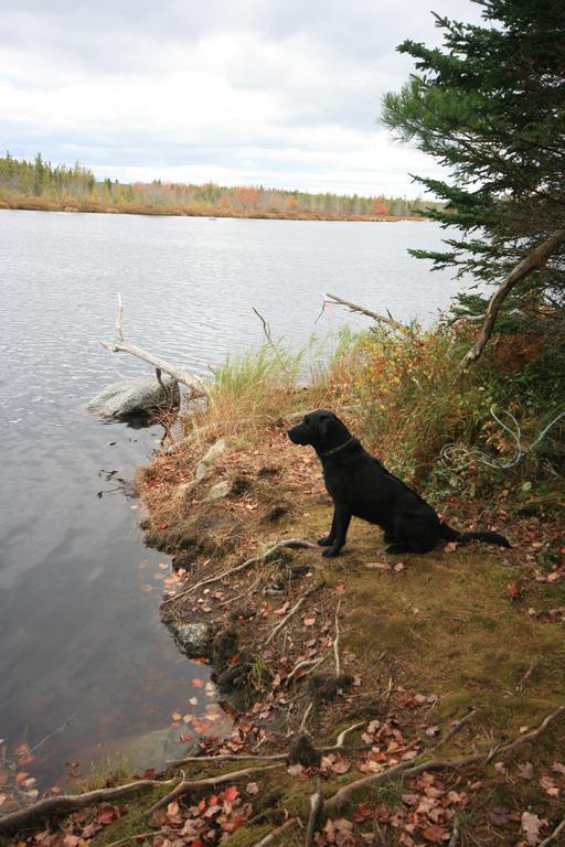 Trout Point Lodge Of Nova Scotia East Kemptville Exteriör bild